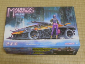 SUYATA スヤタ 1/32 MADNESS OF THE STREET ストリートマッドネス LUNA&SELENA　中古品 