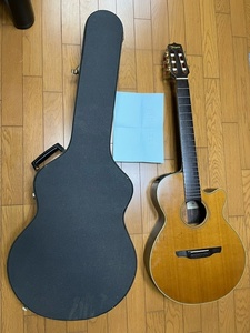 エレガットギター(TAKAMINE)MODEL No.NPT-110N