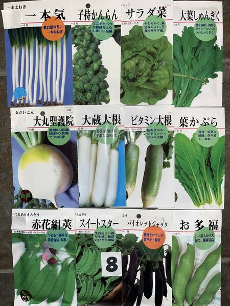 野菜の種12袋★NO8