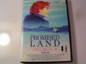 ★名作！プロミストランド　メグ・ライアン・国内正規版ＤＶＤ中古品・2点以上落札で送料無料！