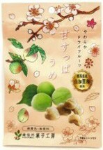 ohihkamat様専用 南信州菓子工房 群馬県産白加賀梅使用甘すっぱ梅 20g×10袋 ドライフルーツ_画像1