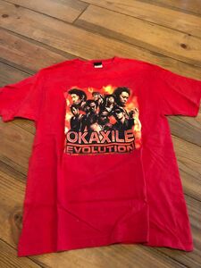 EXILE オカザイル Tシャツ めちゃイケ 半袖　フジテレビ　ナイナイ　