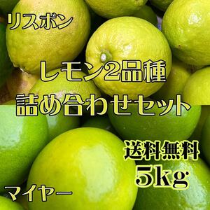 減農薬レモン 2品種詰め合わせセット　マイヤー＆リスボン 5kg 送料無料