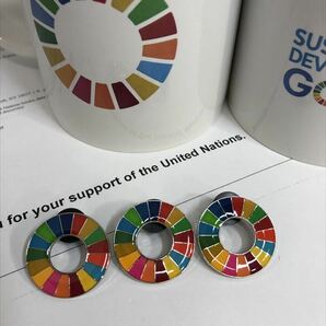 （国連ブックショップ購入・送料無料）SDGs ピンバッジ　 3個（2500円税込）（新品未使用）（再生素材)（保存小分袋1枚付）　　UN72