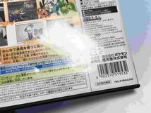 任天堂 DS ソフト ポケットモンスター ホワイト2 取説付き ポケモン ゲーム Nintendo ニンテンドー_画像6