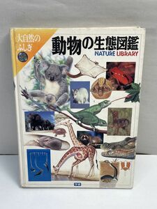 学研　動物の生態図鑑　大自然のふしぎ　1994年　【z70239】