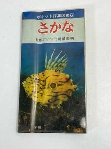 ポケット採集図鑑⑥　「さかな」　阿部宗明/監修　1968年　学習研究社　レトロ・アンティーク・コレクション/【H70855】