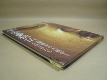 図録★特別展 平安の秘仏 滋賀檪野寺の大観音とみほとけたち★東京国立博物館 ２０１６年_画像4