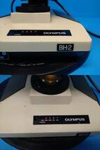 ■OLYMPUS オリンパス 顕微鏡 BH-2 通電確認・現状品ジャンク扱い＃2_画像5