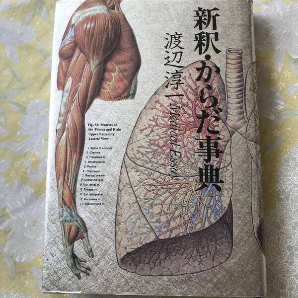 新釈からだ事典 渡辺淳一 集英社