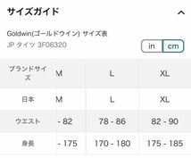 【未使用タグ付】Goldwin(ゴールドウイン)サイズL スポーツタイツ C3fit フォーカスサポートロングタイツ 腰・膝サポート 3F17122 メンズ_画像10