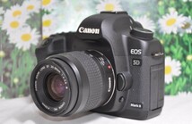 Canon キャノン EOS 5D MarkII☆ダブルレンズ！☆フルサイズ！_画像3