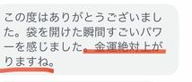 【早い者勝ち】金運アップ最強お守り効果あり特別祈祷済宝くじ高額当選祈願開運_画像8