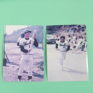 南海ホークス桜井、江夏選手Lサイズ写真1975年