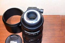 Nikon AF-S NIKKOR 200-500mm f/5.6E ED VR_画像6