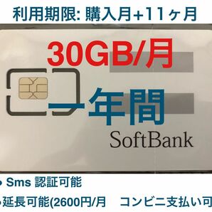 SoftBank プリペイドSIMカード 毎月30GB SMS受信可 購入月+11ヶ月使用　延長可能