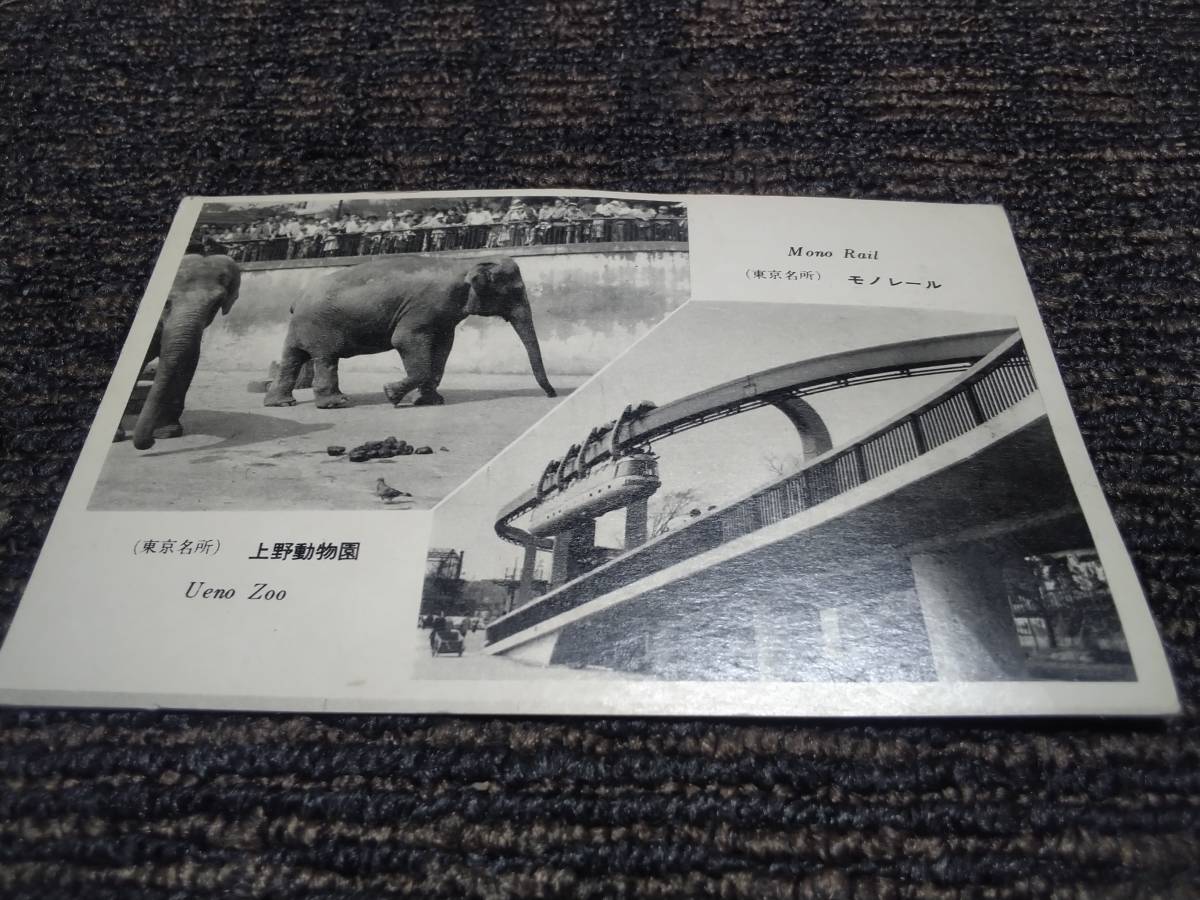 2025年最新】Yahoo!オークション -上野動物園(印刷物)の中古品 2025年最新】Yahoo!オークション -上野動物園(印刷物)の中古品