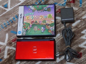 DS Lite ライト 本体 充電器 タッチペン おいでよどうぶつの森