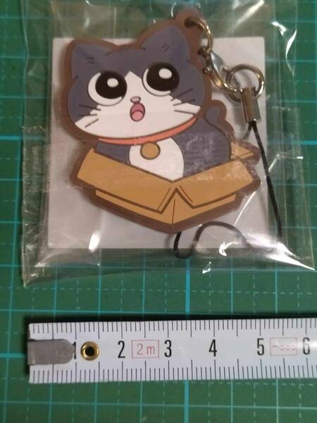 ねこに転生したおじさん ラバー ストラップ ねこおじ プンちゃん Neko ni tensei shita ojisan pun-chan Mobile phone charms rubber strap