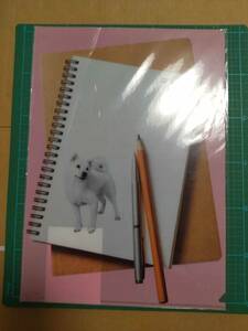 非売品 A4 ソフトバンク お父さん クリアファイル ver.6 犬 SoftBank Father white DOG OTOUSAN pockets plastic file folder CLEAR FOLDER