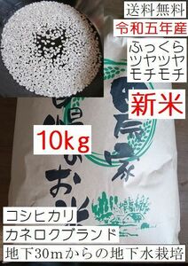 安全安心の地下水栽培　モチモチのコシヒカリ白米 10キロ送料無料　採れたて　令和5年産　栃木県産　農家直売03