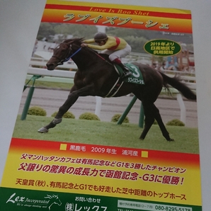 ラブイズブーシェ 種牡馬 パンフレット チラシ