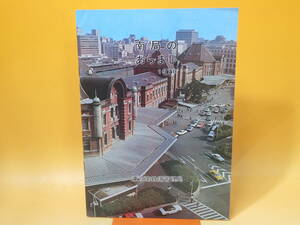 【鉄道資料】南局のあらまし　1978　昭和53年8月刊行　東京南鉄道管理局【中古】 C3 A524