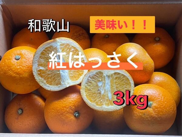 和歌山 紅はっさく 3kg 甘さと酸味のバランスが最高!!