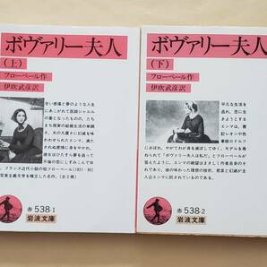 【即決・送料込】ボヴァリー夫人　岩波文庫　上下巻セット　フローベール／作　伊吹武彦／訳