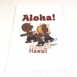 【未開封】 大人気 MONI ハワイ ホノルル 限定 日焼けスヌーピー クリアファイル Aloha！ Hawaii Limited PEANUTS SNOOPY モニ 箱梱包
