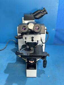 OLYMPUS BX50F4 顕微鏡
