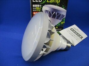 eco aqua LED TランプE26(昼白色) T-LAMP17W-H50K17W