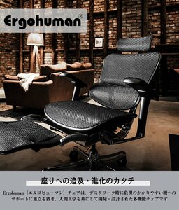【新品】新型 Ergohuman Pro 2 エルゴヒューマン プロ 2 ヘッドレスト付 ランバーサポート付 前傾チルト機能 オフィスチェア 店頭引取可