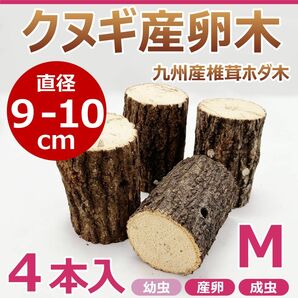 クヌギ産卵木　４本入　直径約9～10㎝　Mサイズ　九州産　椎茸　ホダ木　クワガタ産卵木に最適！！　カブトムシ・クワガタ　M39