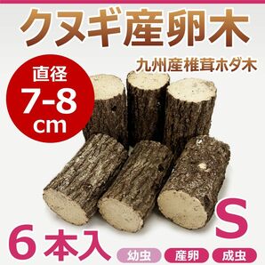 クヌギ産卵木　６本入　直径約7～8㎝　Sサイズ　九州産　椎茸　ホダ木　クワガタ産卵木に最適！！　カブトムシ・クワガタ　S7