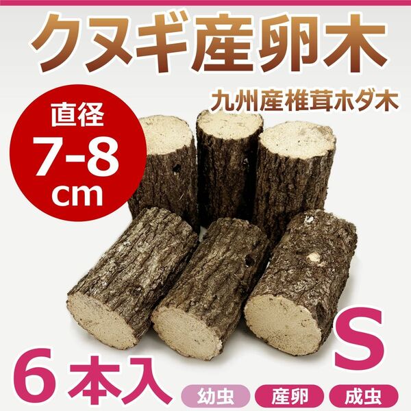 クヌギ産卵木　６本入　直径約7～8㎝　Sサイズ　九州産　椎茸　ホダ木　クワガタ産卵木に最適！！　カブトムシ・クワガタ！ S15