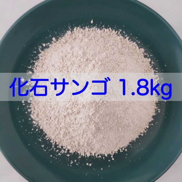 【送料無料】アクアリウム用 化石サンゴ1.8kg　水質改善 pH調整に メダカ 錦鯉