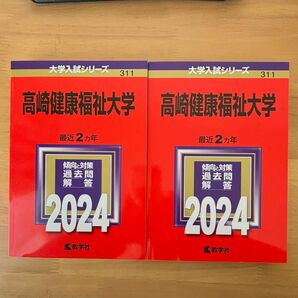 高崎健康福祉大学 2024年版