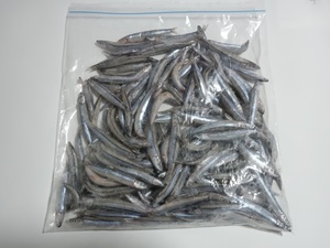 キビナゴ　500g　バラ冷凍　釣り餌　魚のエサに　ダトニオ　アロワナ　など　スルルーにも