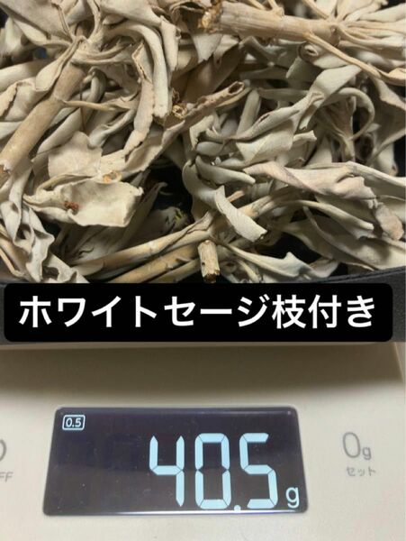 カリフォルニア産ホワイトセージ枝付　40g 浄化・邪気払い