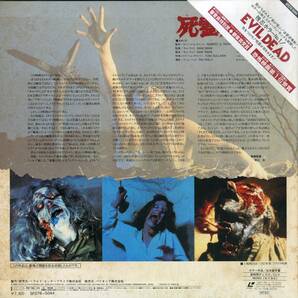 B00179016/【洋画】LD/ブルース・キャンベル「死霊のはらわた The Evil Dead (1985年・SF078-5044)」の画像2