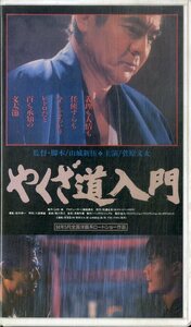 H00019925/【邦画】VHSビデオ/菅原文太「やくざ道入門」