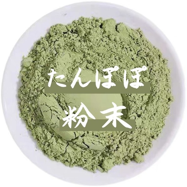 タンポポ たんぽぽ粉末100g タンポポ茶 蒲公英 たんぽぽ茶 タンポポパウダー