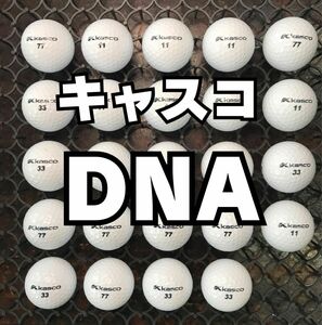 1 キャスコ DNA ロストボール24球