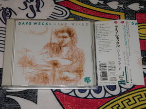 ◆ CD DAVE WECKL HARD WIRED デイブ・ウェックル ハード・ワイアード 国内版 ドラム ドラマー ◆
