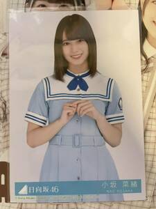 日向坂46 小坂菜緒 こんなに好きになっちゃっていいの？ 封入 チュウ 生写真