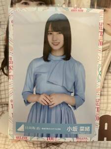 日向坂46 小坂菜緒 青春の馬 MVカラフル衣装 チュウ 生写真