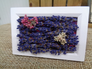 **...** lavender MINI stand postage 220 jpy # dry flower 