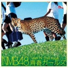 Team N 2nd stage 青春ガールズ レンタル落ち 中古 CD