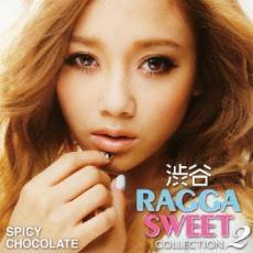 渋谷 RAGGA SWEET COLLECTION 2 2CD レンタル落ち 中古 CD